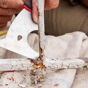 Tầm quan trọng của Sơn lót sắt